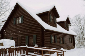 the log cabin